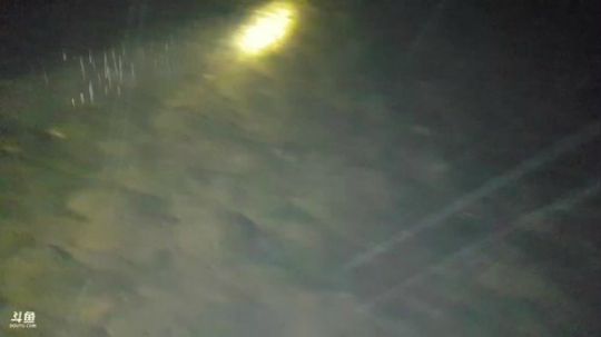 下河抓水疯子! 2019-01-30 19点场