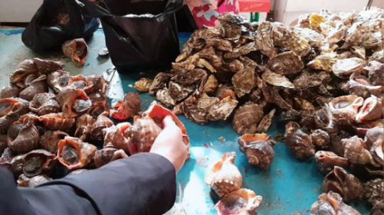 龙马精神丶老狼哥发布了一个斗鱼视频2019-01-30