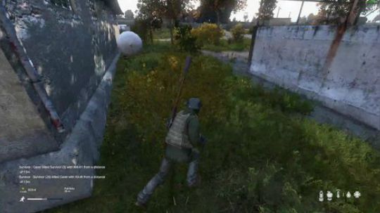 dayz僵尸末日1.0新版探秘 2019-01-29 17点场