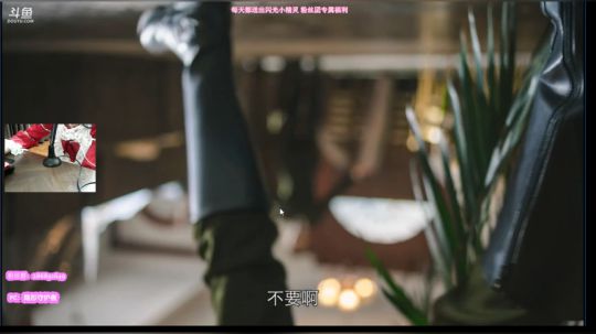 芫酱☆小寿星生日快乐~ 2019-01-30 20点场