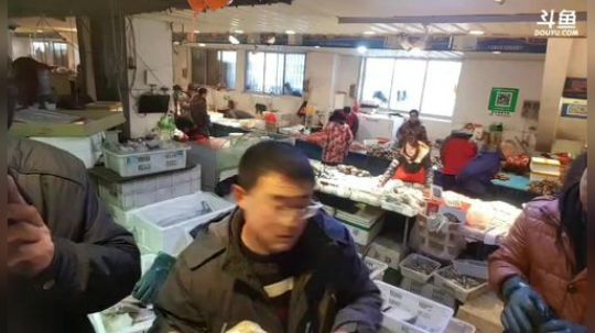 龙马精神之神笔马龙发布了一个斗鱼视频2019-01-31