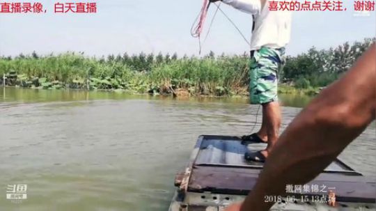 我本善良72发布了一个斗鱼视频2019-01-31