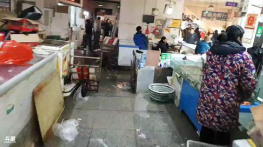 西北老狼哥哥发布了一个斗鱼视频2019-02-02