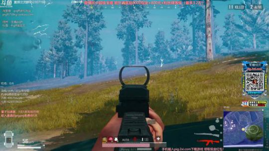 我在斗鱼看pigff直播吃鸡游戏