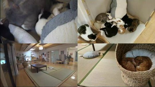 日常 (×× )
