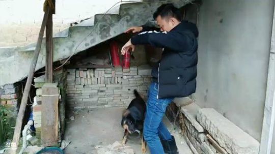 龙马精神之神笔马龙发布了一个斗鱼视频2019-02-02
