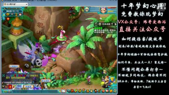 须弥蝴蝶