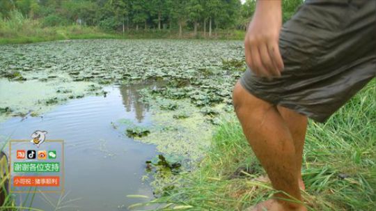 哆啦爱梦梦发布了一个斗鱼视频2019-02-03