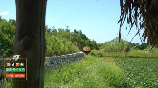 哆啦爱梦梦发布了一个斗鱼视频2019-02-03