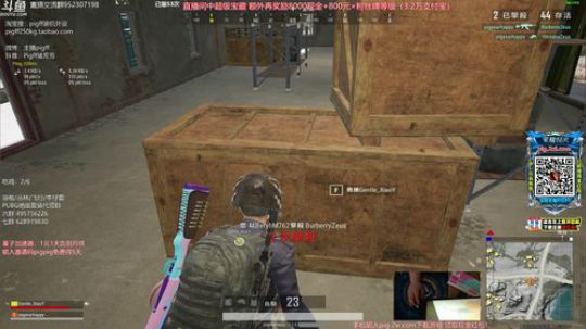 我在斗鱼看pigff直播绝地求生