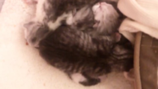 599zxcv发布了一个斗鱼视频2019-02-04