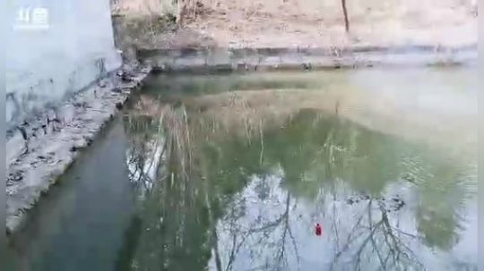 肖淑洁生命中的光和盐发布了一个斗鱼视频2019-02-04