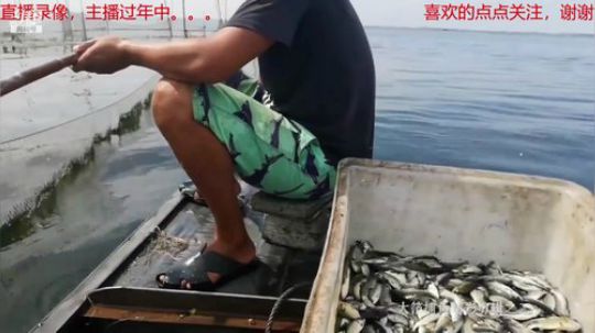 我在斗鱼看微山湖捕鱼武工队直播户外