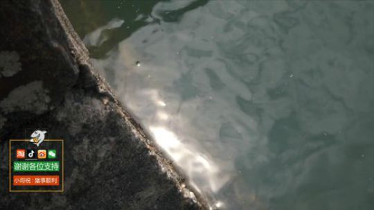 哆啦爱梦梦发布了一个斗鱼视频2019-02-06