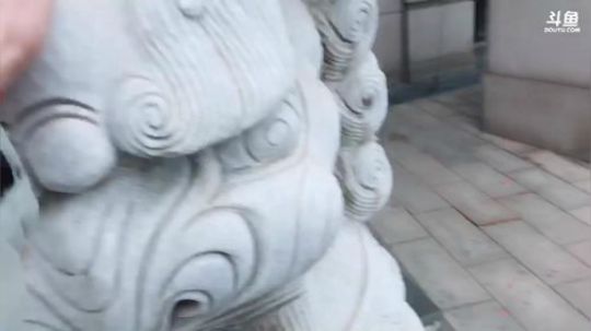 大哥大嫂过年好！ 3849066 2019-02-05 14点场