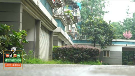 我在斗鱼看野食小哥直播美食