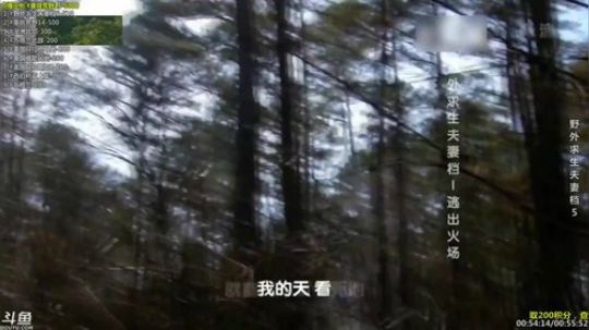 户外遛狗王飞哥发布了一个斗鱼视频2019-02-06