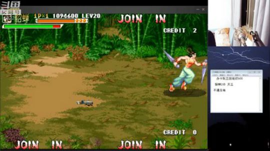 4裤全输发布了一个斗鱼视频2019-02-07