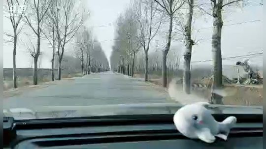 新年唐：回家过年 2019-02-04 10点场
