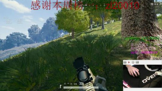 猪年爆猪头 2019-02-02 11点场