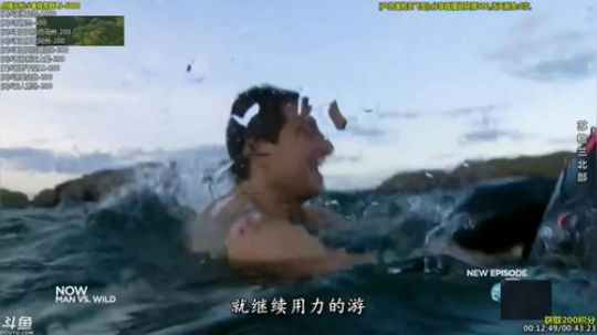 户外遛狗王飞哥发布了一个斗鱼视频2019-02-07