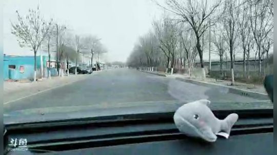 新年唐：今天晚上8点开始准备抽奖。 2019-02-06 12点场