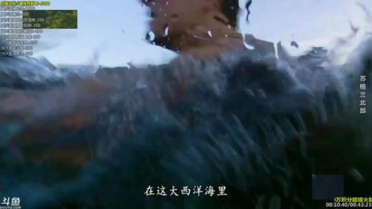 护法惊丶发布了一个斗鱼视频2019-02-07