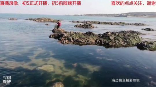 丿Good丶发布了一个斗鱼视频2019-02-08