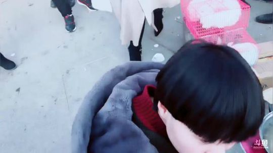 锦年：大家新年快乐 2019-02-05 15点场