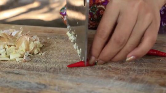 【野炊姐妹】~美味的蜘蛛食谱！