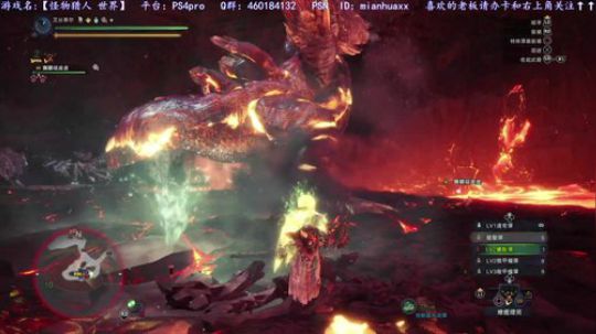 猪大家新年快乐~我本命年~ 2019-02-09 11点场