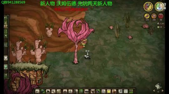 哈姆萝莉从0开始 2019-02-08 14点场