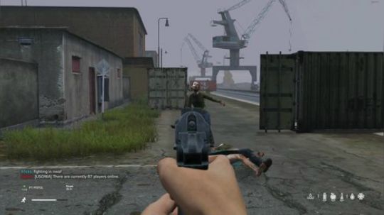dayz僵尸末日（小僵尸给大家拜年） 2019-02-08 15点场