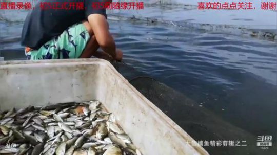 我在斗鱼看微山湖捕鱼武工队直播户外