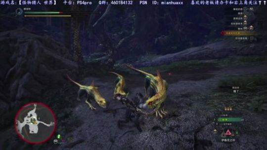 猪大家新年快乐~我本命年~ 2019-02-09 07点场