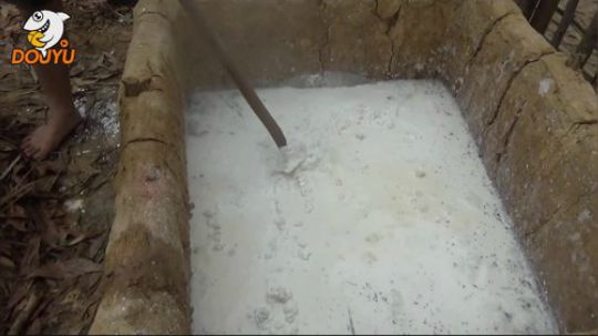 我在斗鱼看屎马蛋直播美食