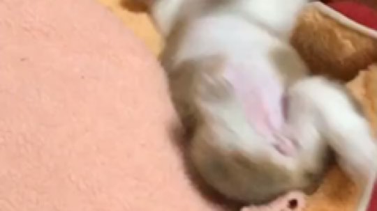 晚点播呀 家里搞下卫生嘿嘿