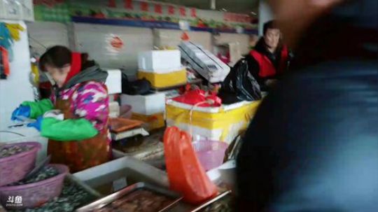 龙马精神丶老狼哥发布了一个斗鱼视频2019-02-11