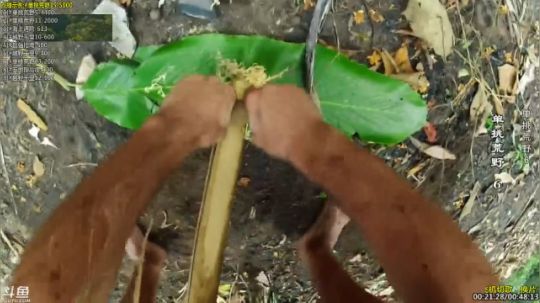 护法惊丶发布了一个斗鱼视频2019-02-10