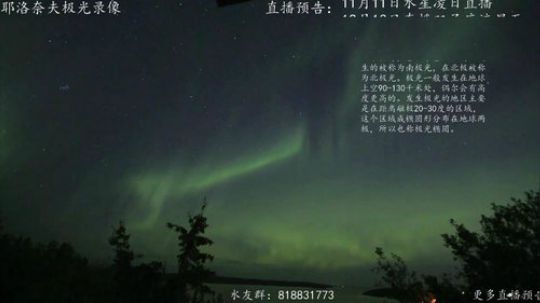 户外遛狗王飞哥发布了一个斗鱼视频2019-02-11