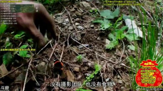 户外遛狗王飞哥发布了一个斗鱼视频2019-02-11