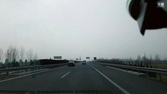 西北老狼哥哥发布了一个斗鱼视频2019-02-12