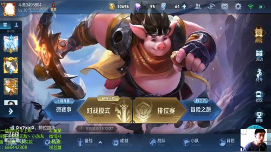 【小灰灰】王者之路（带粉） 2019-02-12 14点场