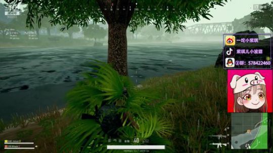 电竞邓紫棋：满满的正能量！ 2019-02-11 19点场