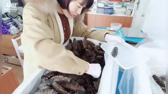 丿Good丶发布了一个斗鱼视频2019-02-12