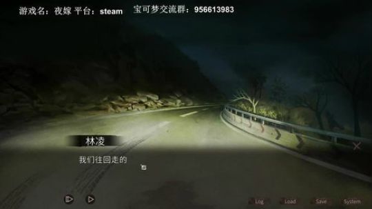 恐怖游戏，夜嫁。晚点宝可梦 2019-02-12 22点场