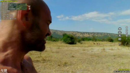 户外遛狗王飞哥发布了一个斗鱼视频2019-02-12