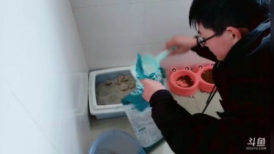 肖淑洁生命中的光和盐发布了一个斗鱼视频2019-02-13