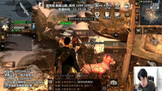 青鸟：开启交易模式 日赚100W金条 2019-02-12 11点场