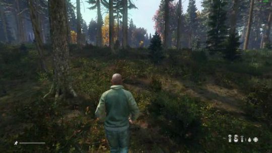 dayz僵尸末日 840351 2019-02-12 17点场